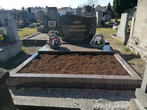 Vzor č.64 - Dvojhrob částečně zakrytý Himalya